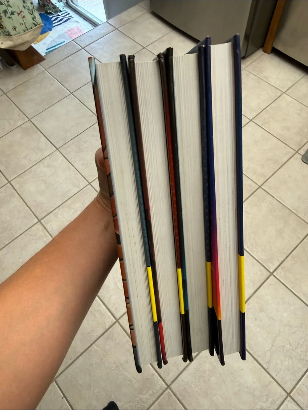 Scholastic four dog